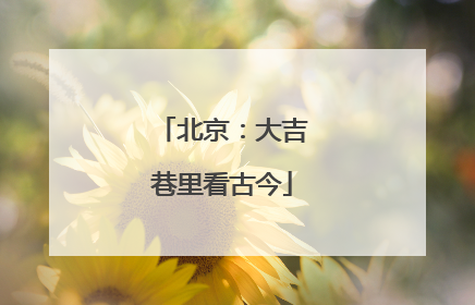 北京：大吉巷里看古今