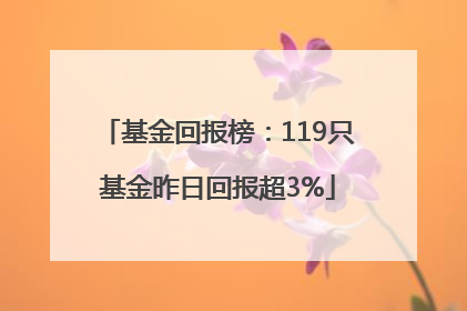 基金回报榜：119只基金昨日回报超3%