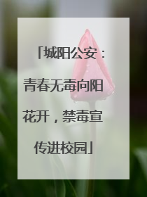城阳公安：青春无毒向阳花开，禁毒宣传进校园