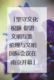 坚守文化根脉 促进文明互鉴 伦理与文明国际会议在南京开幕