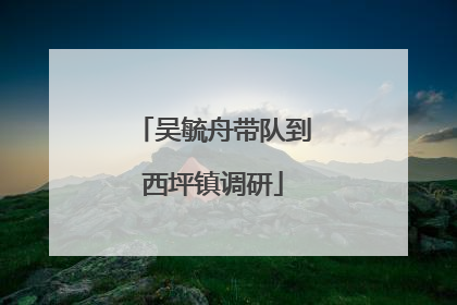 吴毓舟带队到西坪镇调研