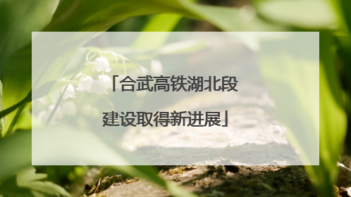 合武高铁湖北段建设取得新进展