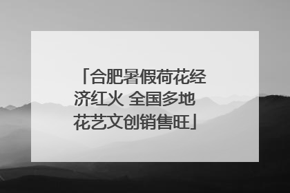 合肥暑假荷花经济红火 全国多地花艺文创销售旺