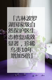 吉林波罗湖国家级自然保护区生态修复成效显著，珍稀鸟类10年增加5倍