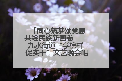 同心筑梦颂党恩 共绘民族新画卷——九水街道“学榜样 促实干”文艺晚会唱响民族团结主旋律