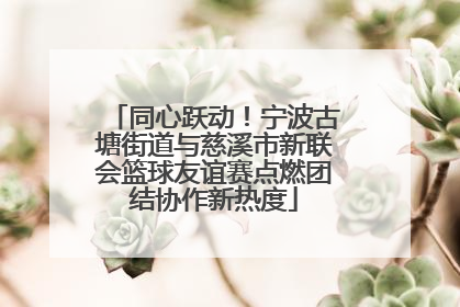 同心跃动！宁波古塘街道与慈溪市新联会篮球友谊赛点燃团结协作新热度