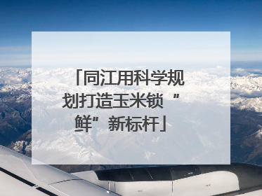 同江用科学规划打造玉米锁“鲜”新标杆