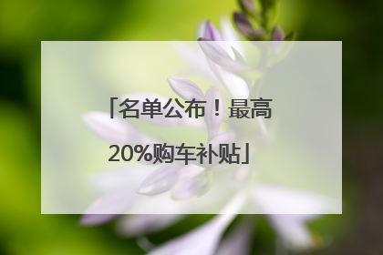名单公布！最高20%购车补贴