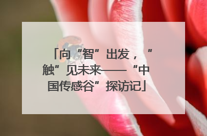 向“智”出发，“触”见未来——“中国传感谷”探访记