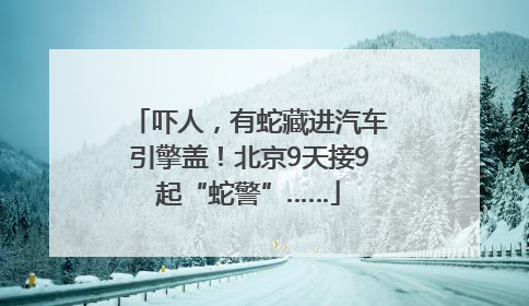 吓人，有蛇藏进汽车引擎盖！北京9天接9起“蛇警”……