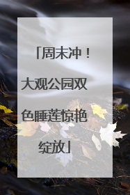 周末冲！大观公园双色睡莲惊艳绽放