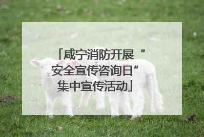 咸宁消防开展“安全宣传咨询日”集中宣传活动