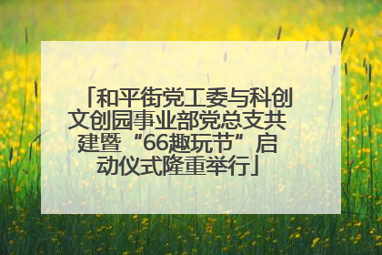 和平街党工委与科创文创园事业部党总支共建暨“66趣玩节”启动仪式隆重举行