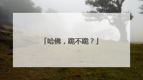 哈佛，跪不跪？