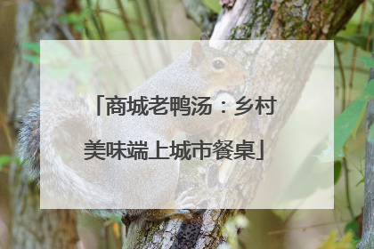 商城老鸭汤：乡村美味端上城市餐桌