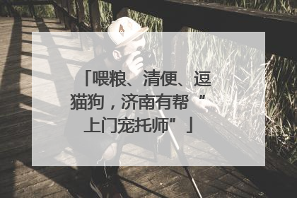 喂粮、清便、逗猫狗，济南有帮“上门宠托师”