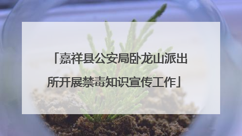 嘉祥县公安局卧龙山派出所开展禁毒知识宣传工作