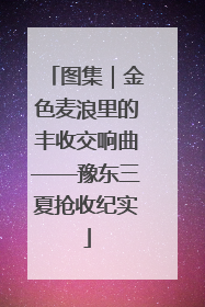 图集｜金色麦浪里的丰收交响曲——豫东三夏抢收纪实