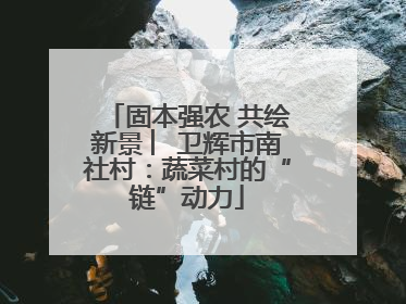固本强农 共绘新景 ︳卫辉市南社村：蔬菜村的“链”动力