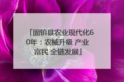 固镇县农业现代化60年：农械升级 产业富民 全链发展