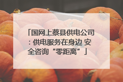 国网上蔡县供电公司：供电服务在身边 安全咨询“零距离”
