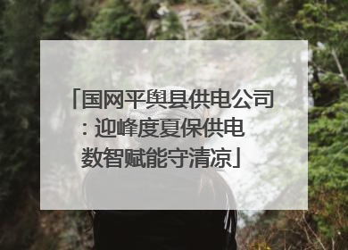 国网平舆县供电公司：迎峰度夏保供电  数智赋能守清凉