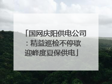 国网庆阳供电公司：精益巡检不停歇 迎峰度夏保供电