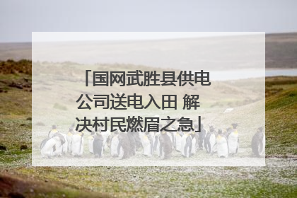 国网武胜县供电公司送电入田 解决村民燃眉之急