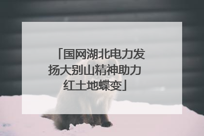 国网湖北电力发扬大别山精神助力红土地蝶变