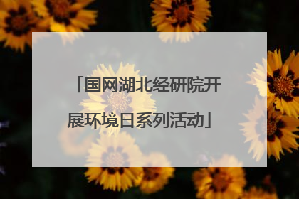 国网湖北经研院开展环境日系列活动