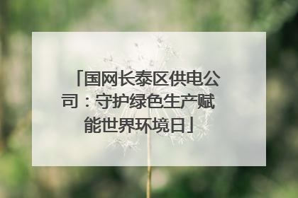 国网长泰区供电公司：守护绿色生产赋能世界环境日