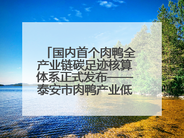 国内首个肉鸭全产业链碳足迹核算体系正式发布——泰安市肉鸭产业低碳发展标准示范项目顺利通过验收