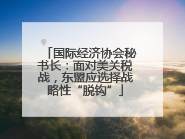 国际经济协会秘书长：面对美关税战，东盟应选择战略性“脱钩”