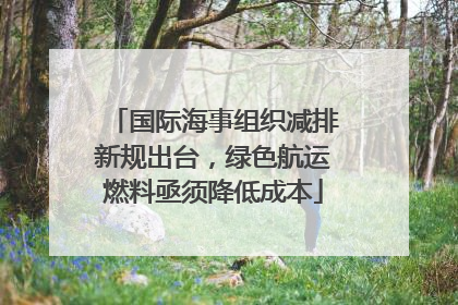国际海事组织减排新规出台，绿色航运燃料亟须降低成本