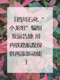 四川石化“小龙组”编组发运告捷 川内铁路航煤保供再添新动能