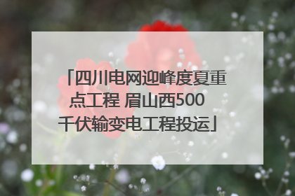四川电网迎峰度夏重点工程 眉山西500千伏输变电工程投运