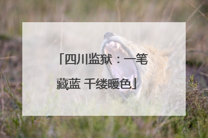 四川监狱：一笔藏蓝 千缕暖色