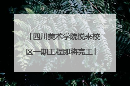 四川美术学院悦来校区一期工程即将完工