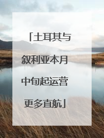 土耳其与叙利亚本月中旬起运营更多直航