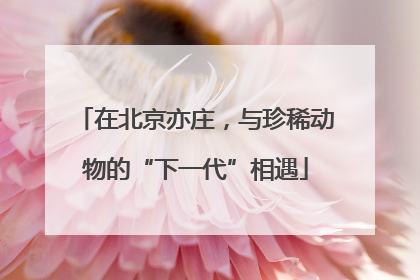 在北京亦庄，与珍稀动物的“下一代”相遇