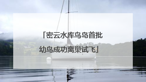 密云水库鸟岛首批幼鸟成功离巢试飞