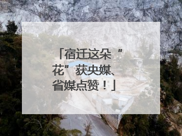 宿迁这朵“花”获央媒、省媒点赞！