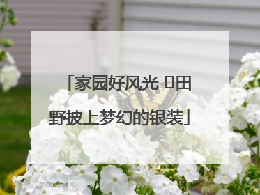家园好风光 ⎮田野披上梦幻的银装