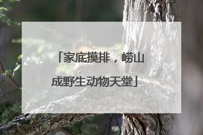 家底摸排，崂山成野生动物天堂