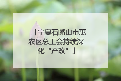 宁夏石嘴山市惠农区总工会持续深化“产改”