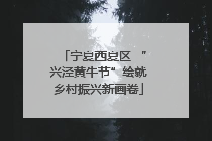 宁夏西夏区 “兴泾黄牛节”绘就乡村振兴新画卷