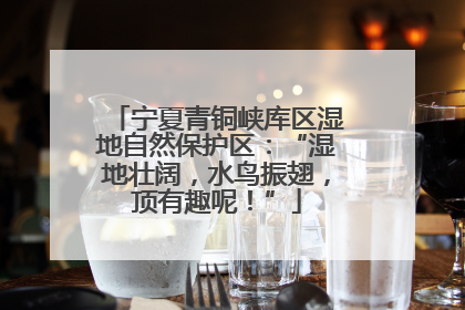 宁夏青铜峡库区湿地自然保护区：“湿地壮阔，水鸟振翅，顶有趣呢！”