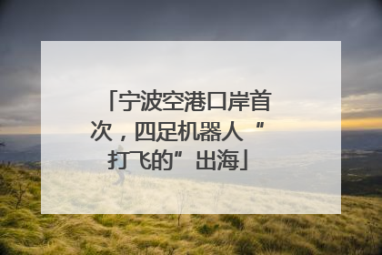 宁波空港口岸首次，四足机器人“打飞的”出海