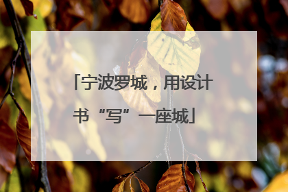 宁波罗城，用设计书“写”一座城