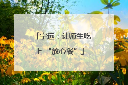 宁远：让师生吃上 “放心餐”